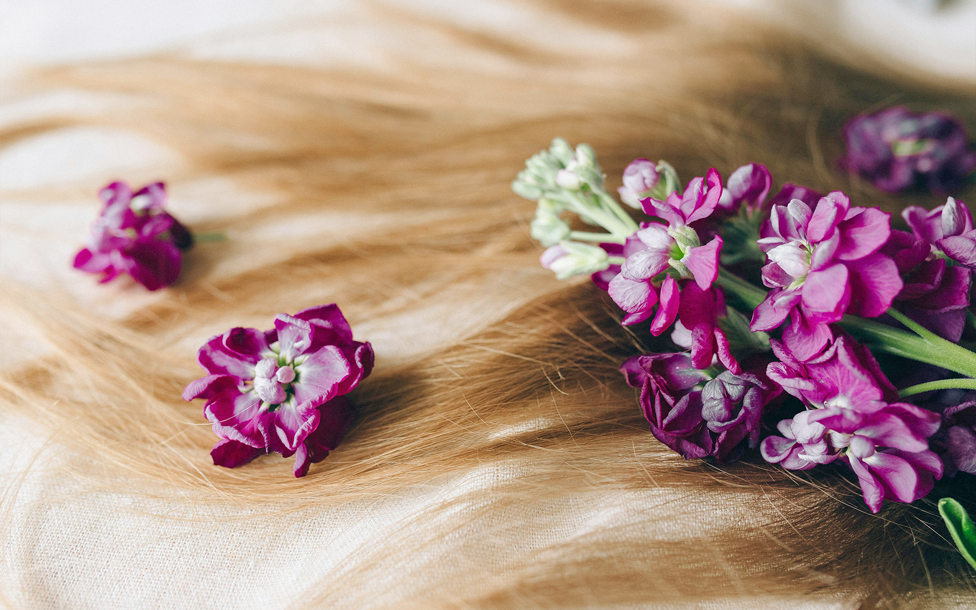 spécialiste du blond coiffure le Perreux
